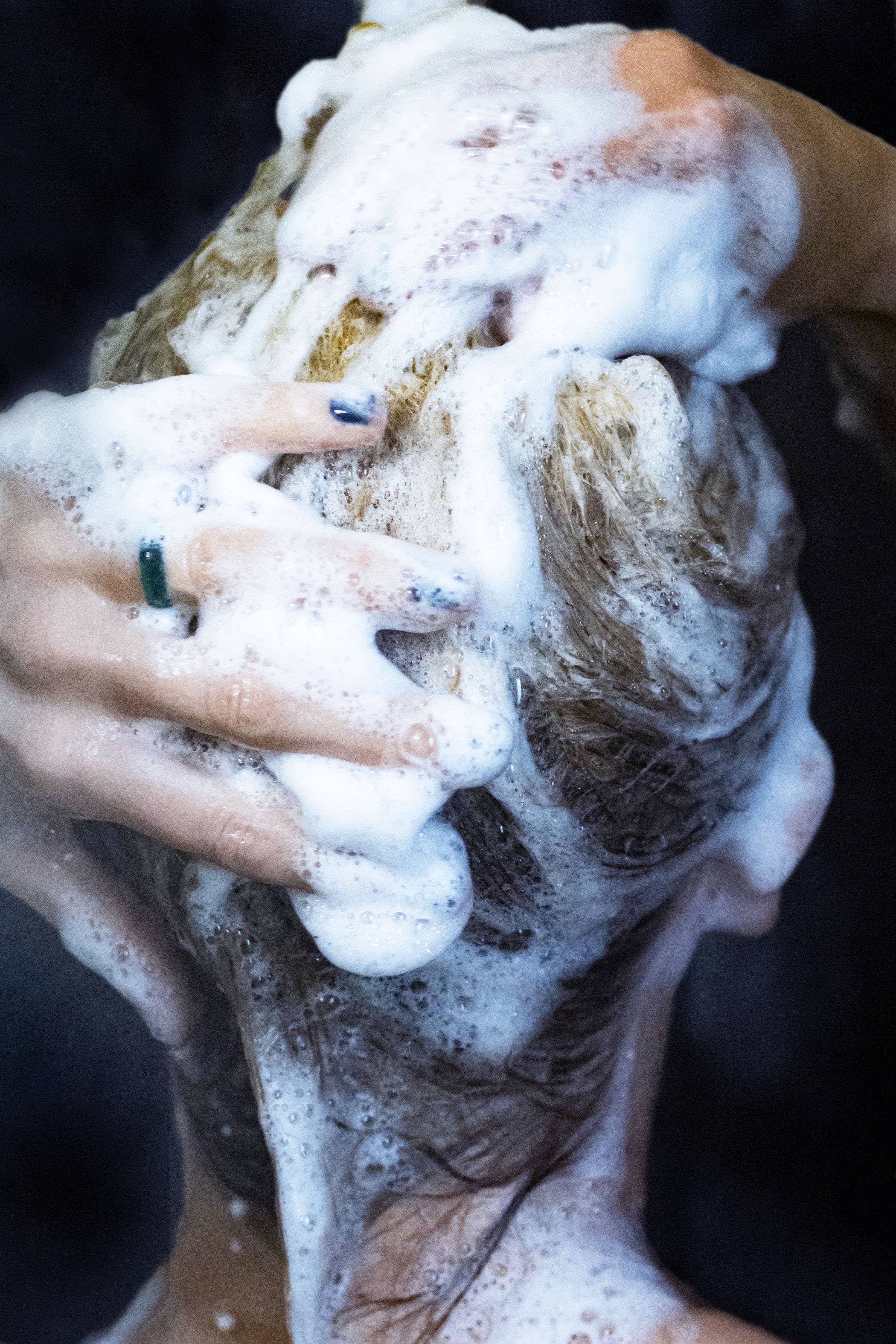 Rock Creek Soaps - Wholesale Shampoo Puck/Solid Shampoo - Shampoo Bar | Vitamin B-5 & Argan Oil | Wild Nectar2