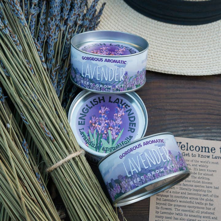 The Jonsteen Company - Wholesale Plant Seeds - Lavender | Flower Seed Grow Kit3