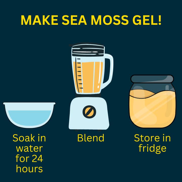 Ocean's Balance - Wholesale Protein/Superfood Powder - Sea Moss Powder