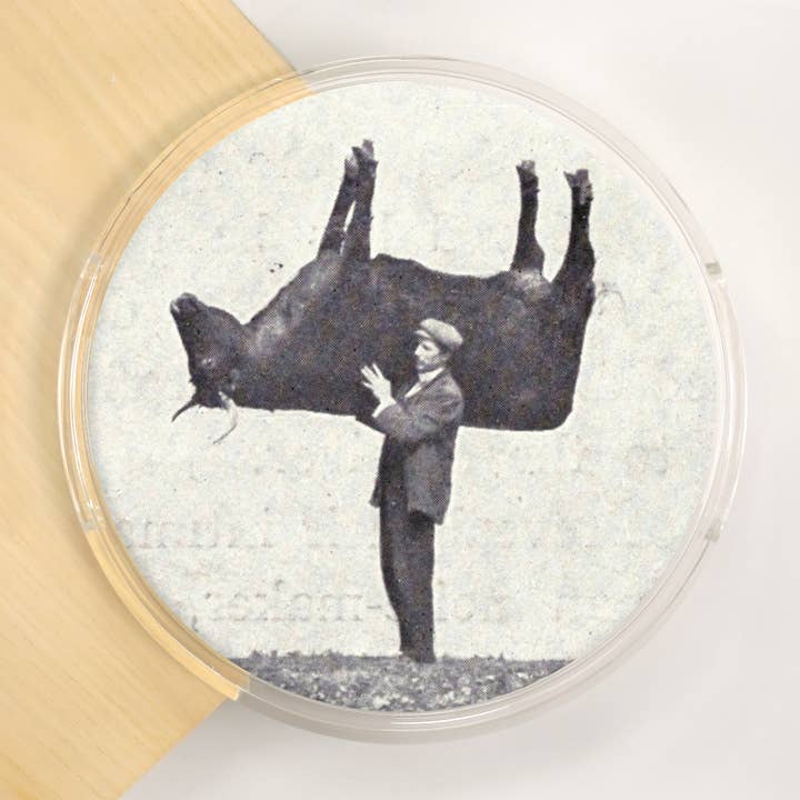 Bandeja redonda Lucite 5571S para venta al por mayor de Lucy Lu Designs