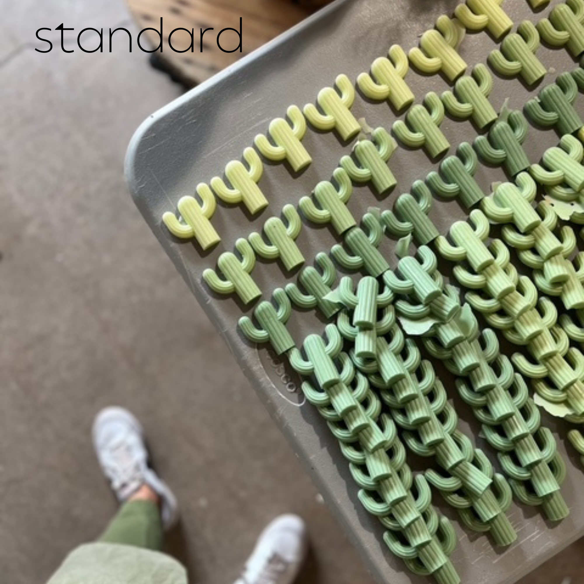 Naked Fig – sabonete sólido por atacado – Mini Sabonete para Cactus - Individual (individual)15