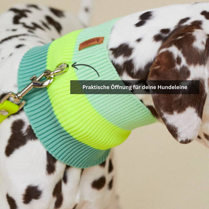 Pink Parade THE GLOW LOOP 2.0 (Pink Parade) for wholesale on Faire2