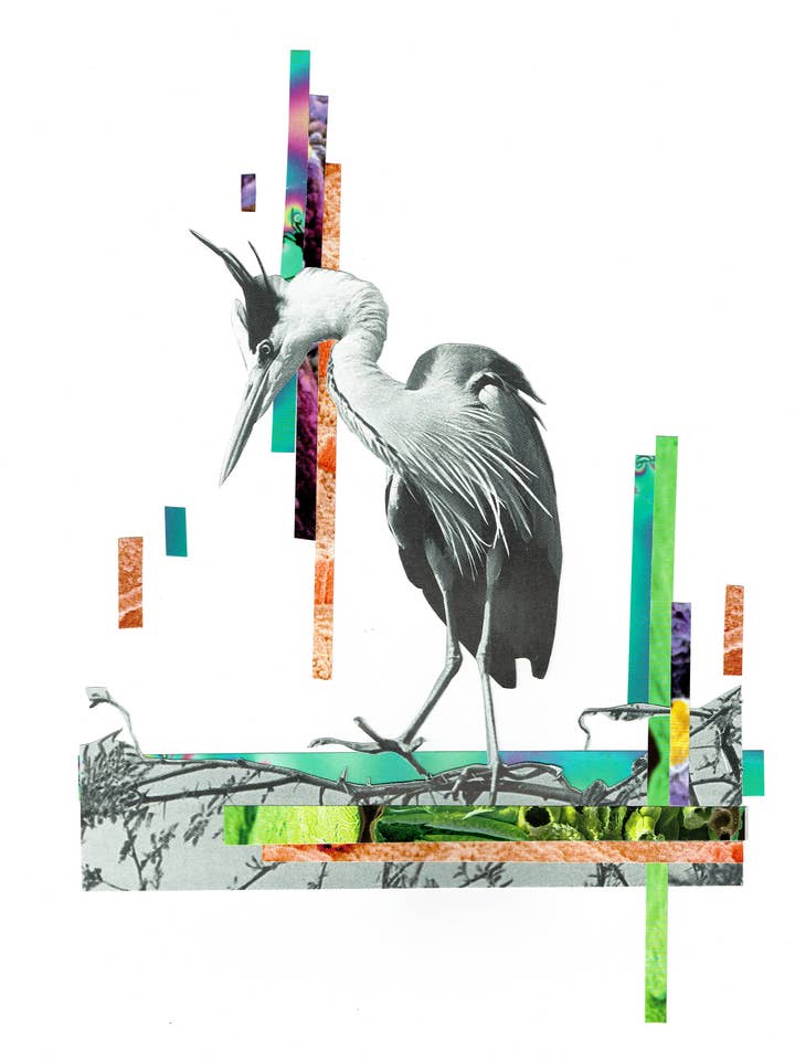 Stampa d'Arte Uccelli della Tecnologia 1 per la vendita all'ingrosso da parte di Flanzella