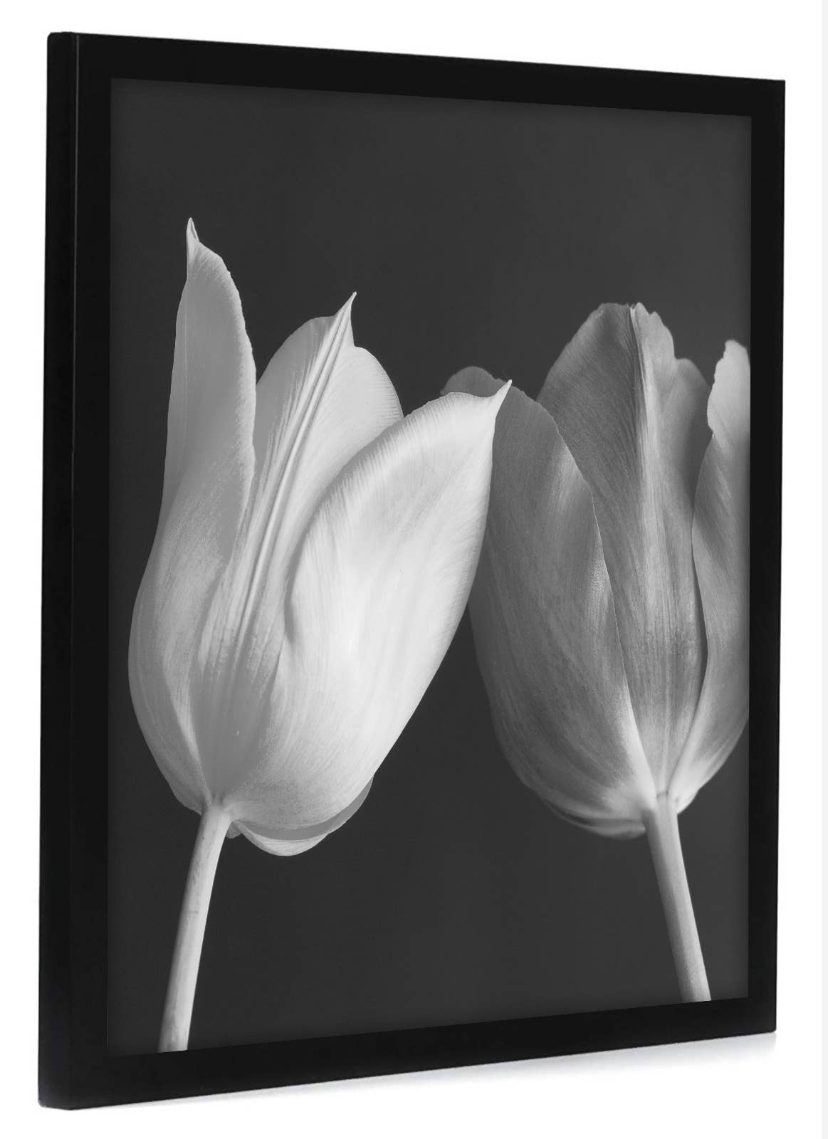 Americanflat - Wholesale Picture Frame - Americanflat Poster Frame with Wide Molding142