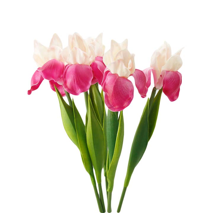 Angel Isabella - Wholesale Artificial Flowers - 18"-Ultra Soft Real Touch Bearded Iris Stem13