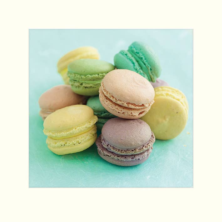 The Art Group - Wholesale Cookie - Howard Shooter (Macaroons) - M45334