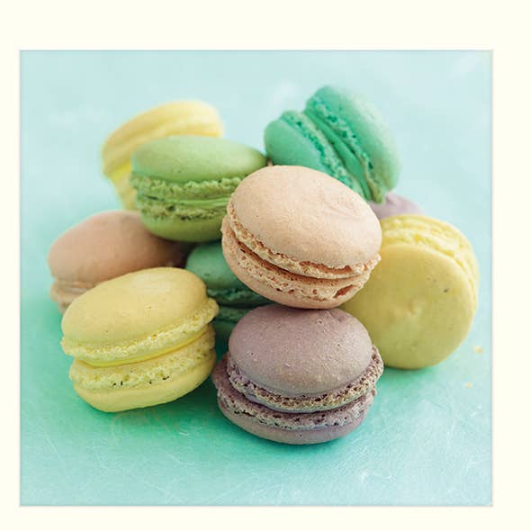 The Art Group - Wholesale Cookie - Howard Shooter (Macaroons) - M453340