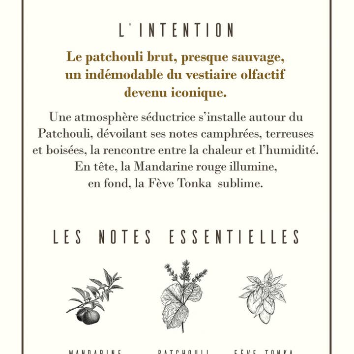 Les Parfums D'Uzège - Wholesale Perfume/Eau de Toilette - Patchouli collection 15