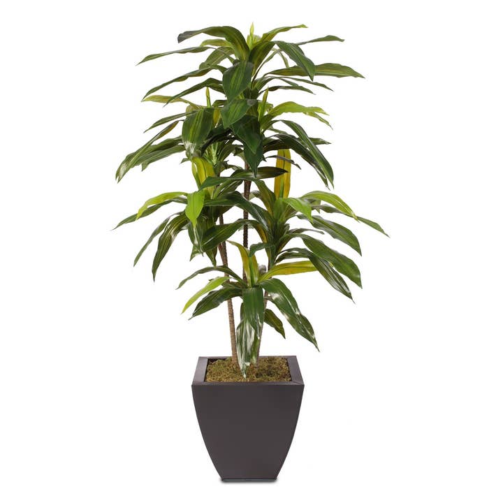 4ft Real Touch Dracaena Massangeana Tree in Metal Pot for wholesale by JENNY SILKS