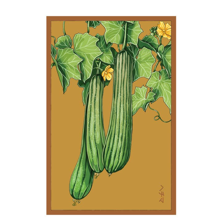 Chive Canada - Wholesale Plant Seeds - 2026 Luffa Sponge Vegetable Seeds Packet0