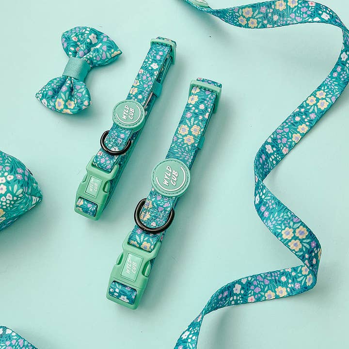 WYLD CUB – wholesale Pet collar – Dog – Adjustable Dog Collar: Notting Hill Mint2