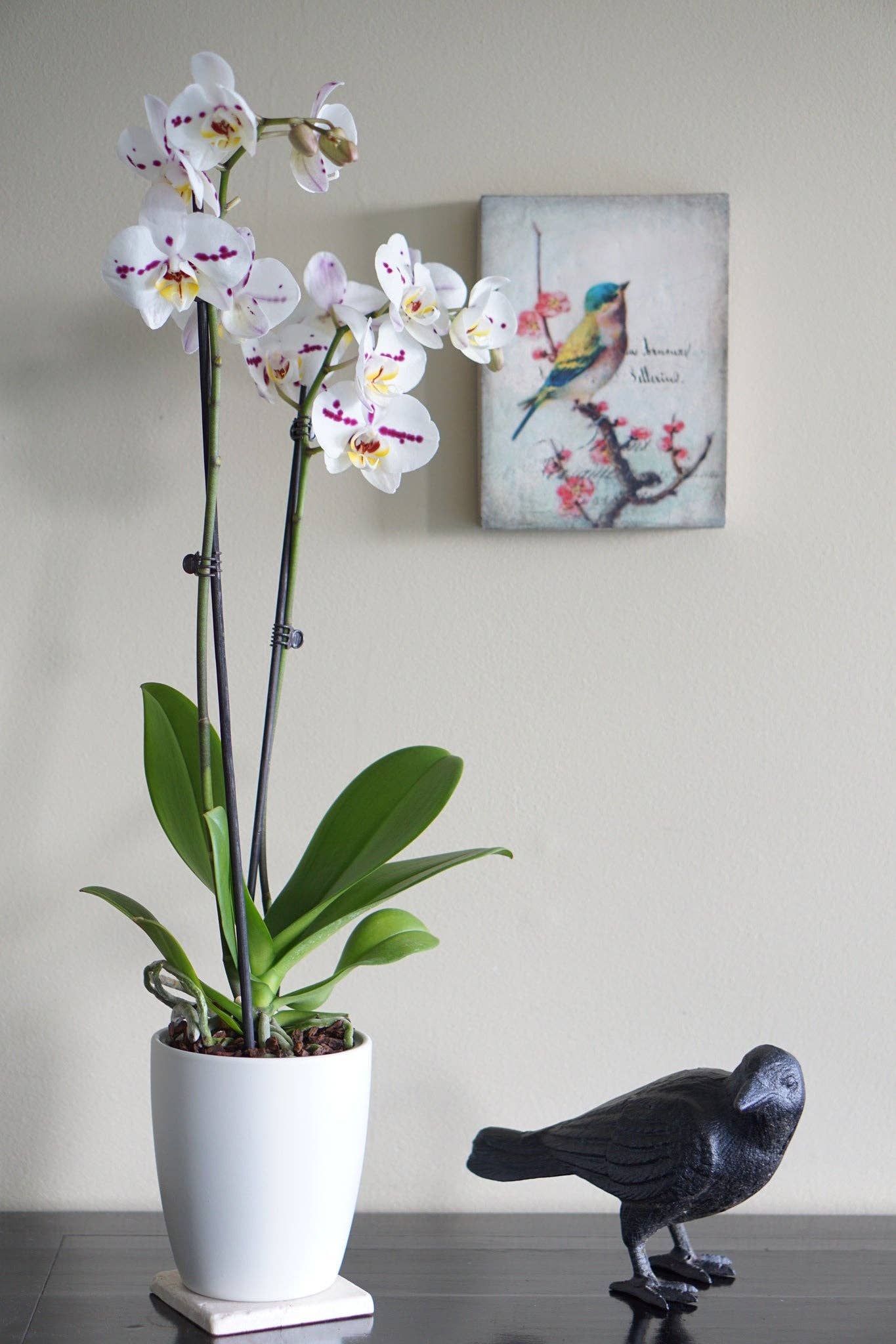 NACH - Wholesale Decorative Figurine - Cast Iron Crow, Head To Side, Black1