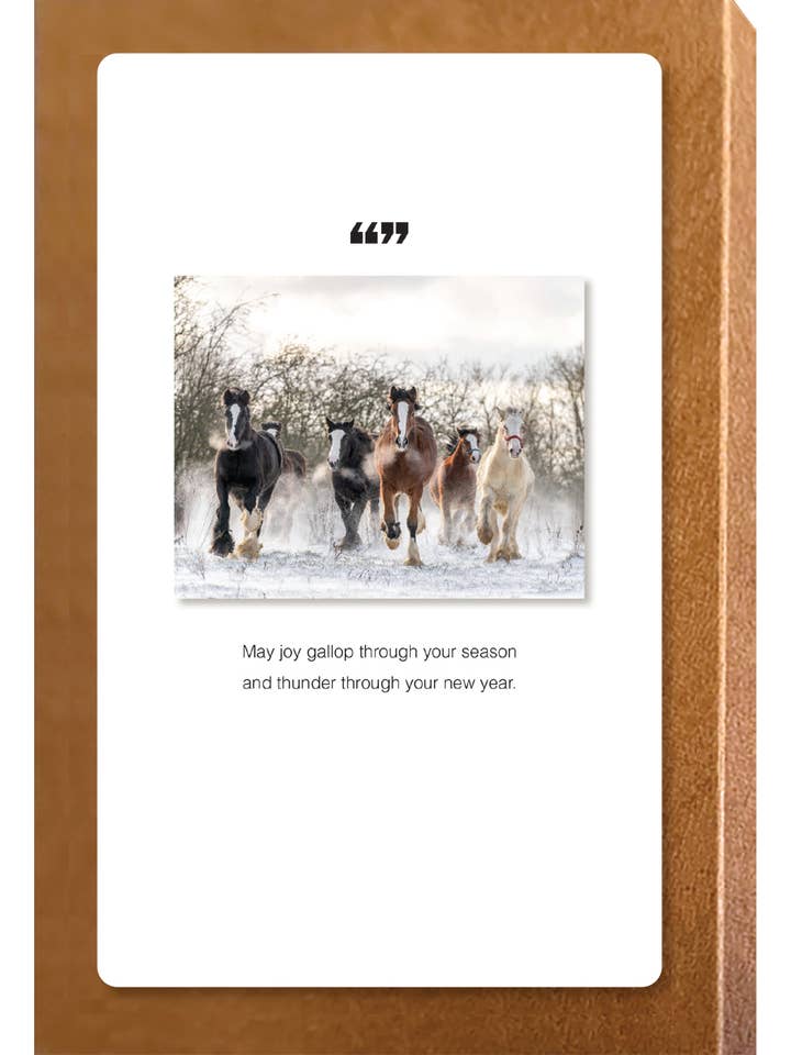 May Joy Gallop Holiday Boxed Set for wholesale by The Borealis Press Inc