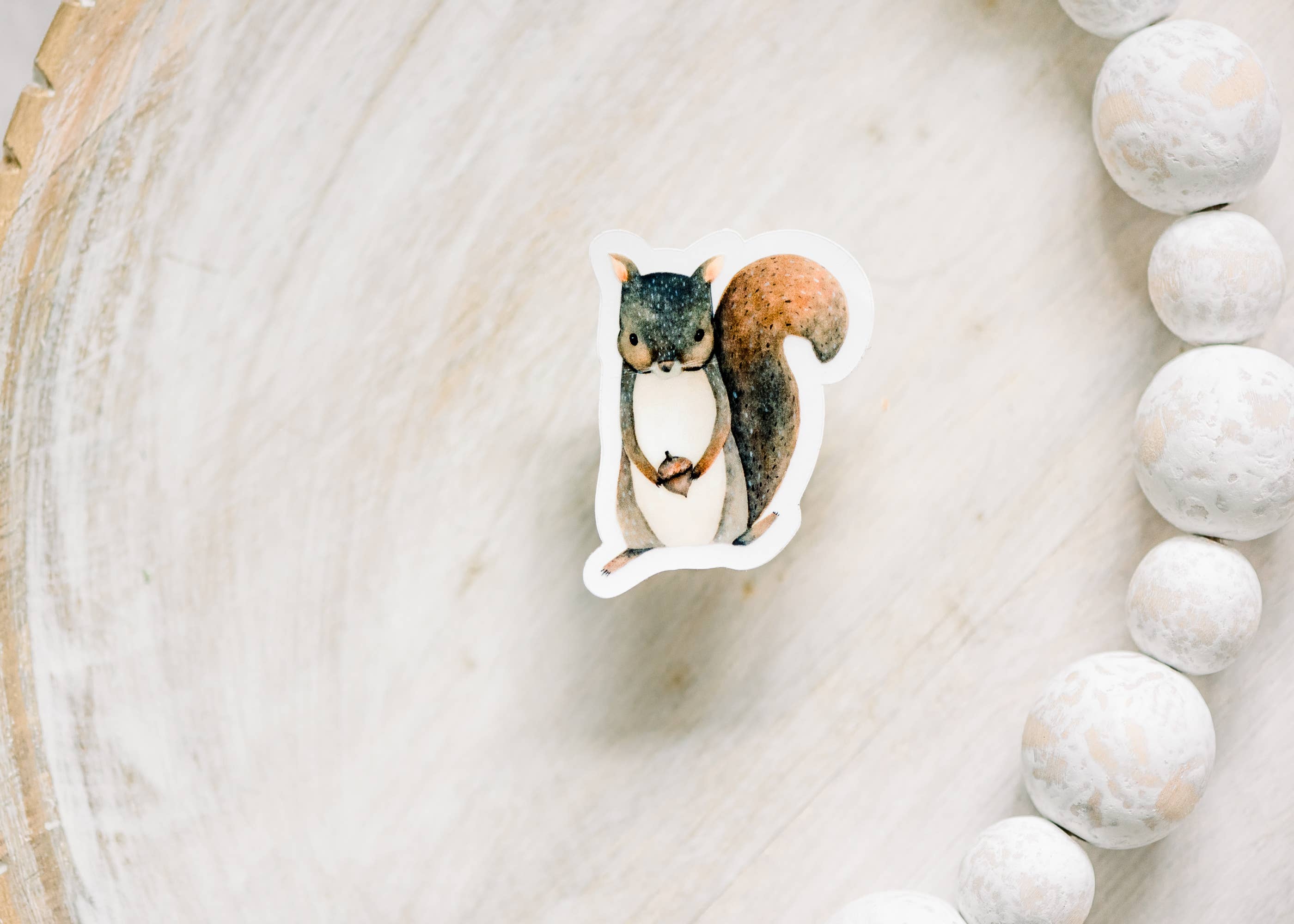 Savannah and James Co - Wholesale Sticker - Mini Baby Squirrel Clear, Vinyl Sticker, 2x2 in.1