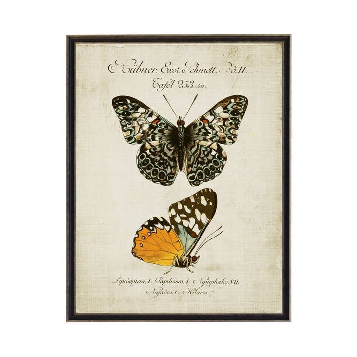 Vintage brun och guld fjäril bokplatta på titelplattan för wholesale av Antique Curiosities Inc