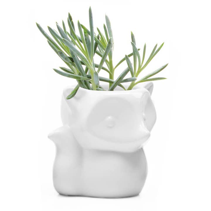 Chive UK - Wholesale Plant Pot - Fox - 3.5" Glazed Modern Ceramic Planter1