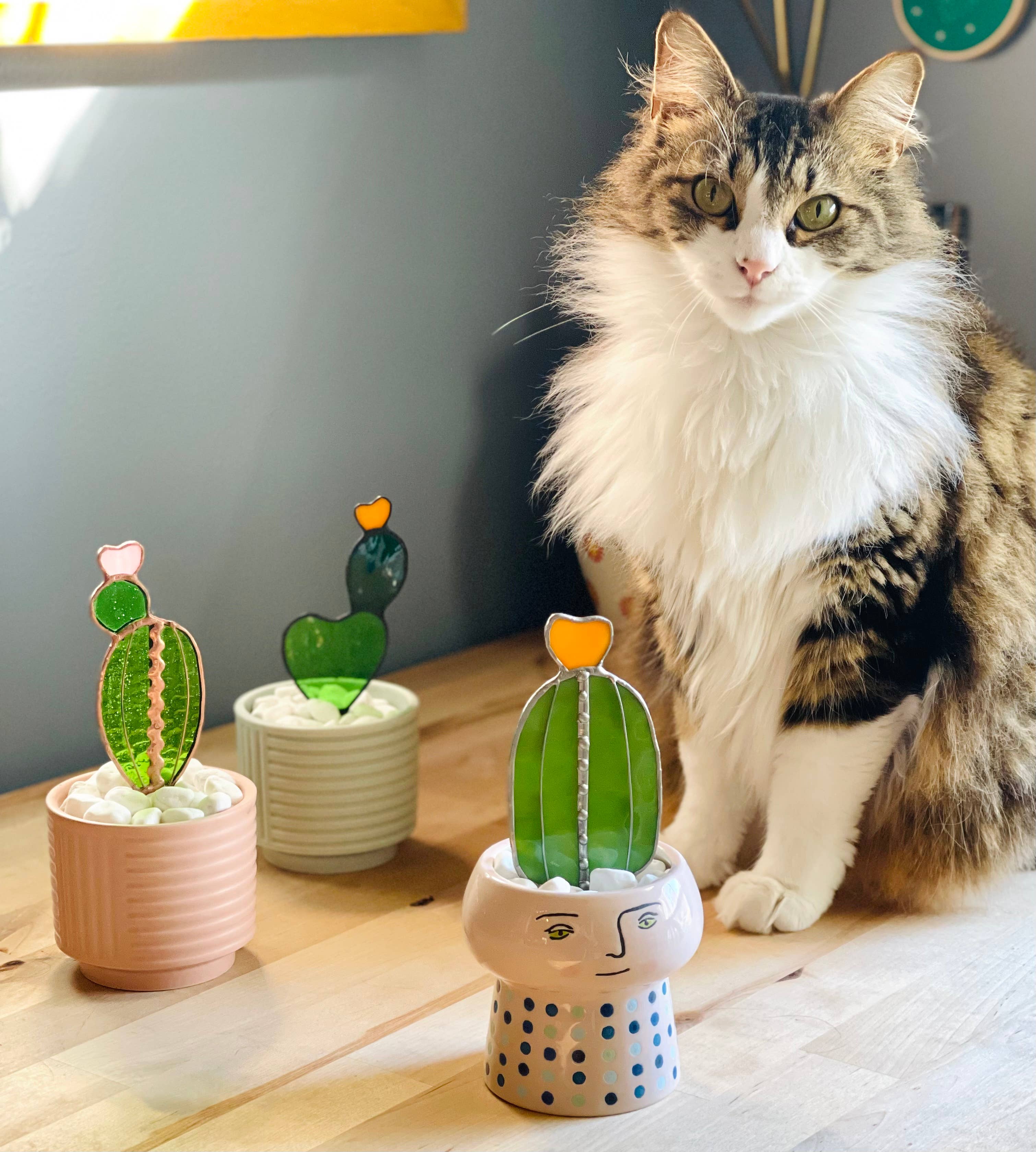 Samara Designs Studio – wholesale Dekorativt bordsobjekt – Bebis Teckly Päron Glas Kaktus5