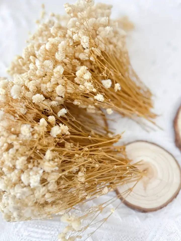 Chutes de gypsophile séchée pour la vente par DemiVi Style