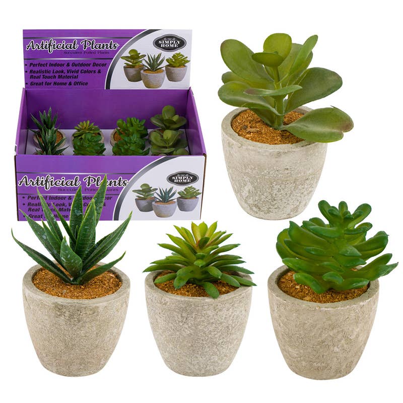 Deluxe Import Trading – wholesale Artificial plant – Simply Home Artificial Plants Succulent Potted Plants - 5''0