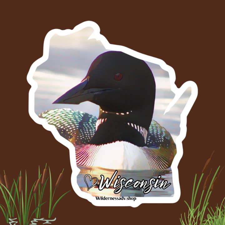 Wisconsin Loon Sticker for wholesale by Wilderness Adventures