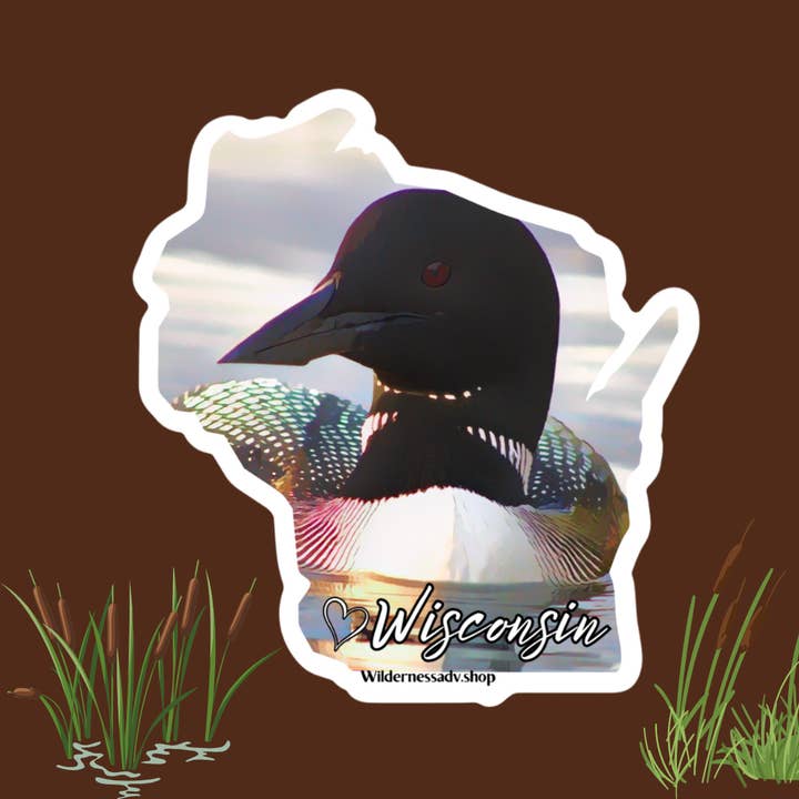 Wilderness Adventures - Wholesale Sticker - Wisconsin Loon Sticker