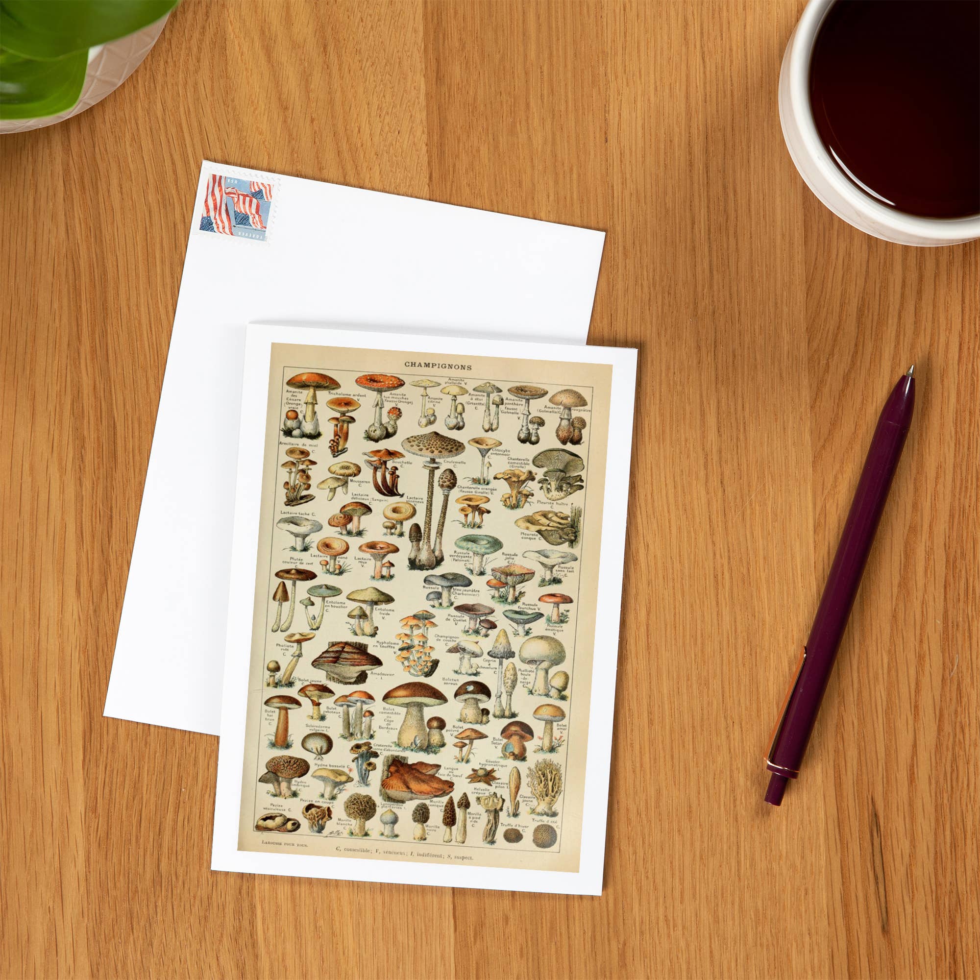 Lantern Press - Wholesale Everyday Greeting Card - GREETING CARD Mushrooms, C, Vintage Bookplate Millot1