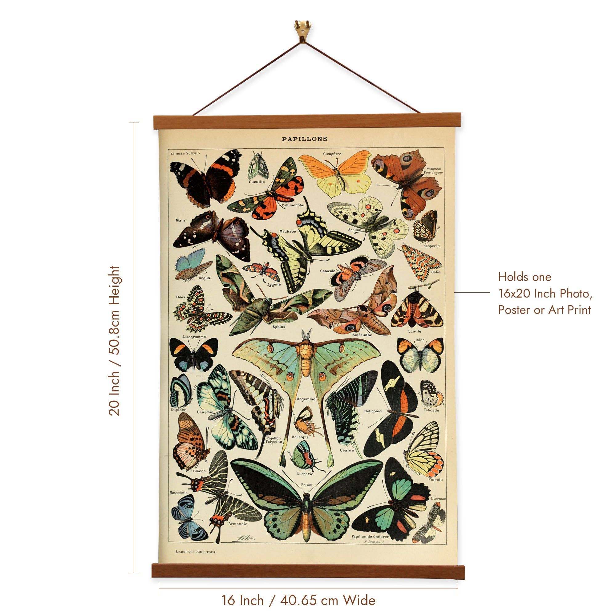 Vintage Banners - Vente Affiche d'art - Papillons I d'Adolphe Millot2