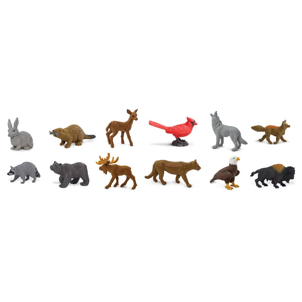 Safari Ltd. - Wholesale Figurine Toy - Kids - Nature TOOB® - 6858041