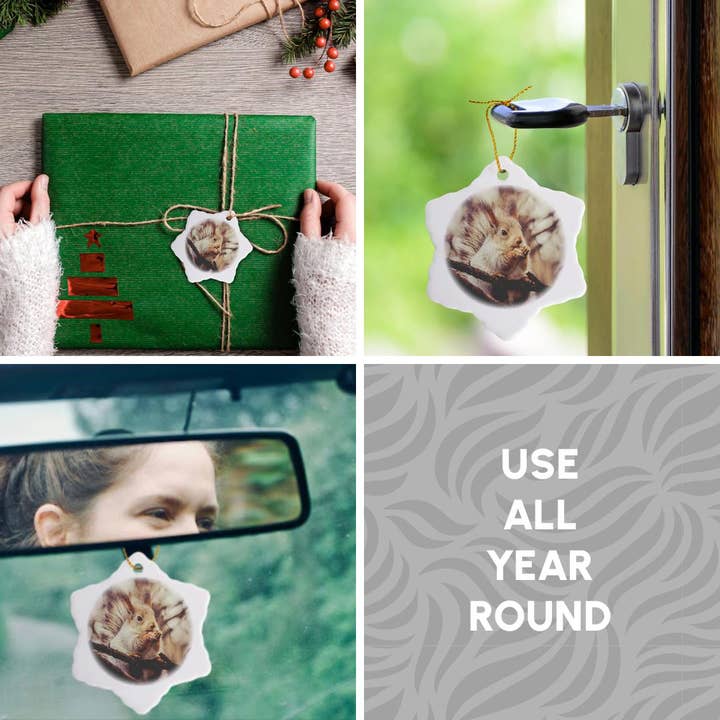 3dRose – wholesale Ornament – 3dRose, Squirrel animal sits on a tree and eats a nut. Stylized photo, Ornament4