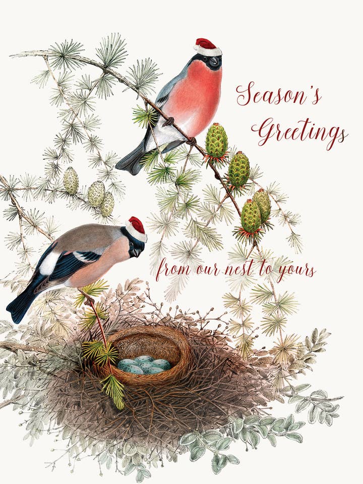 Season's Greetings from our nest to yours 5X7 Holiday card for wholesale by P. Flynn Design / Phun House