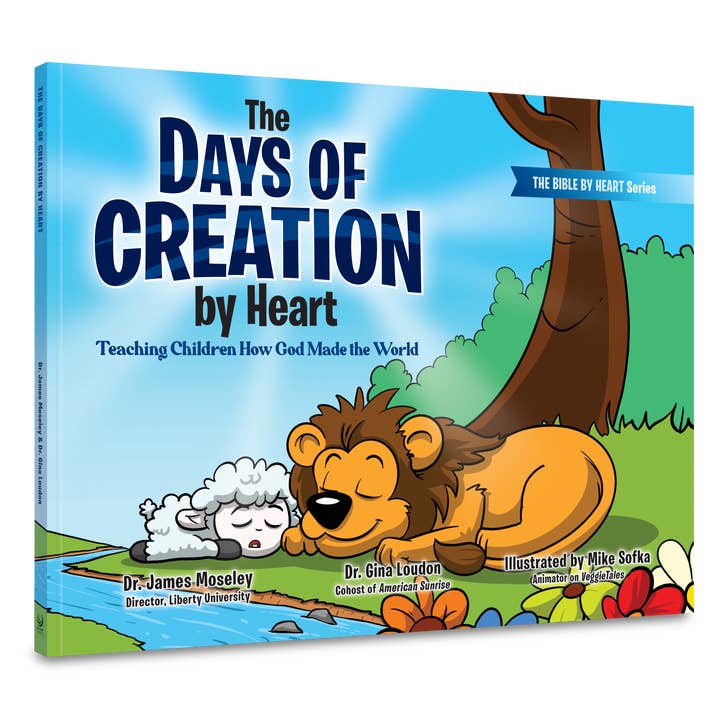 Beyond Words - Wholesale Coloring & Activity Book - Kids & Baby - The Days of Creation by Heart1