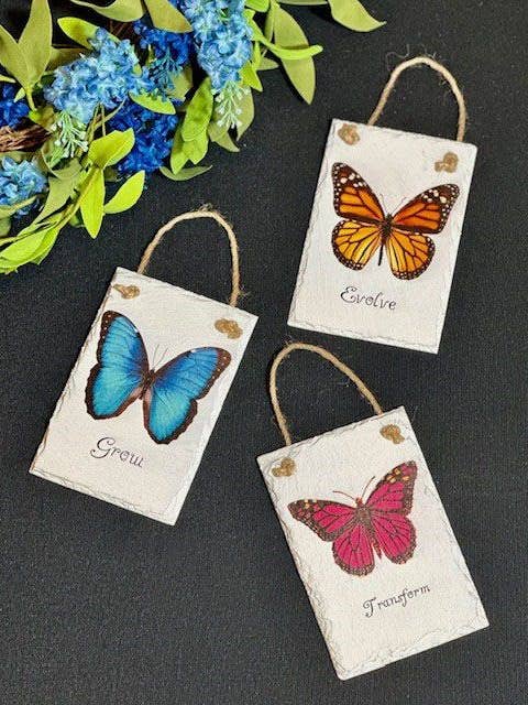 Mini pizarras de mariposa (3 surtidas) para venta al por mayor de DNS Designs