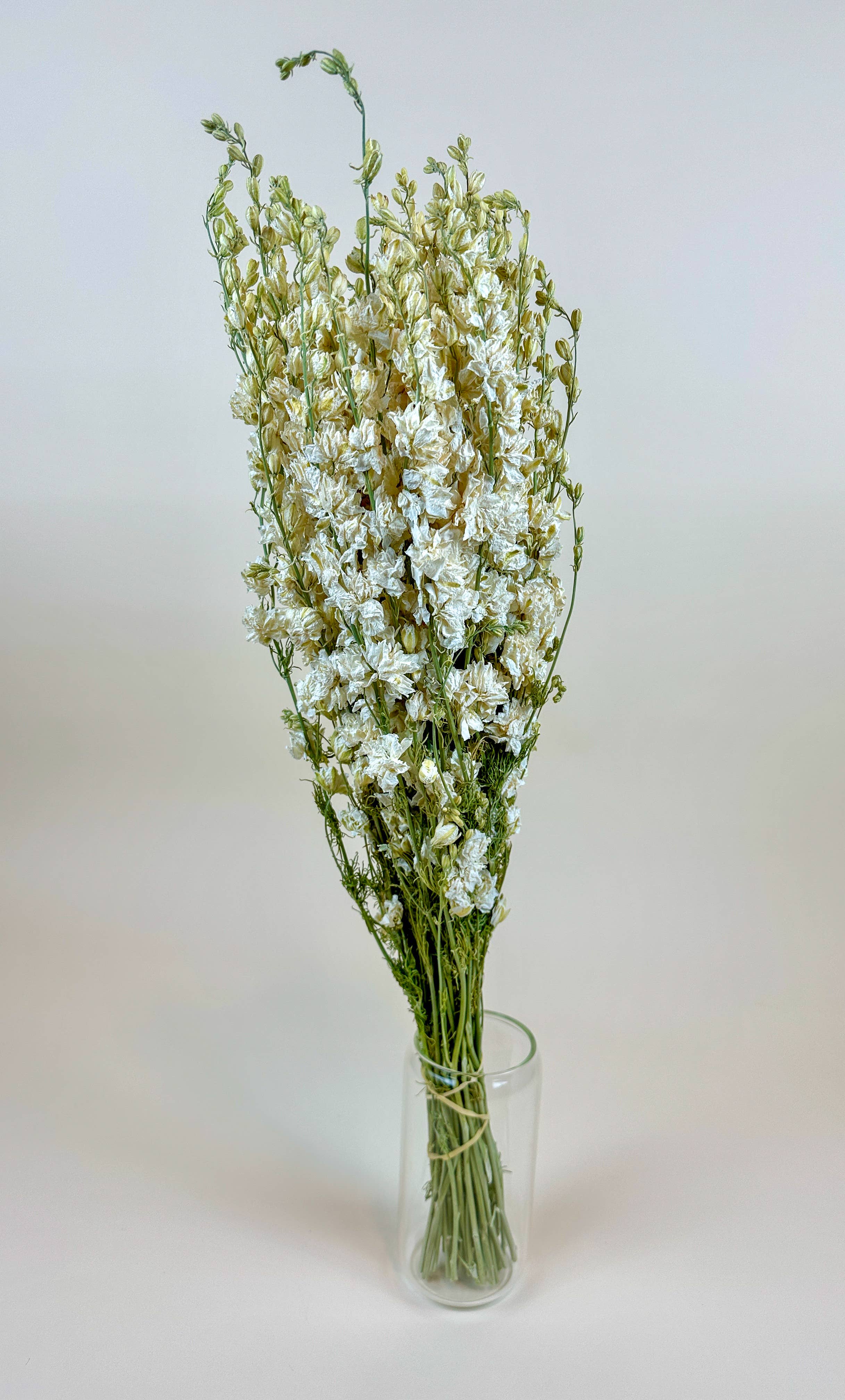 Lovejoy Farms Premium Dried Flowers - Vente Fleur séchée/pressée - Larkspur blanc impérial à fleurs doubles – séché naturellement1
