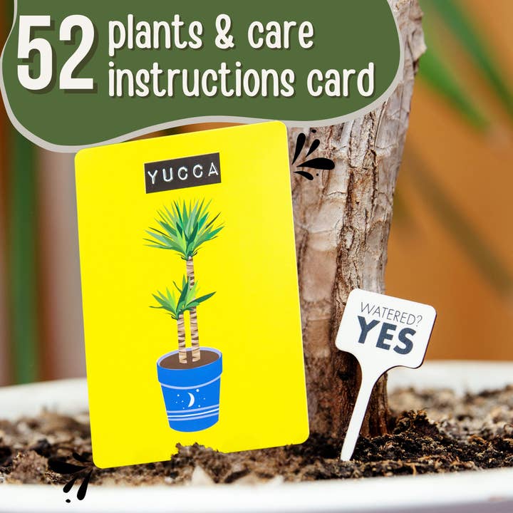 Boxer Gifts - Wholesale Card Game - Don't Kill Your Houseplants - Indoor Plant Survival Guide