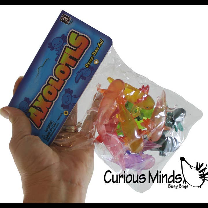 Curious Minds Toys – wholesale Fidget Toy - Barn – 1 påse med 12 realistiska 2,5" färgglada små axolotler-figurer1