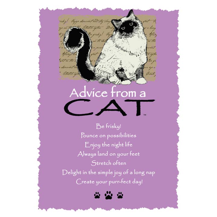 Advice from a Cat Greeting Card - Blank for wholesale by Advice for Life by Your True Nature