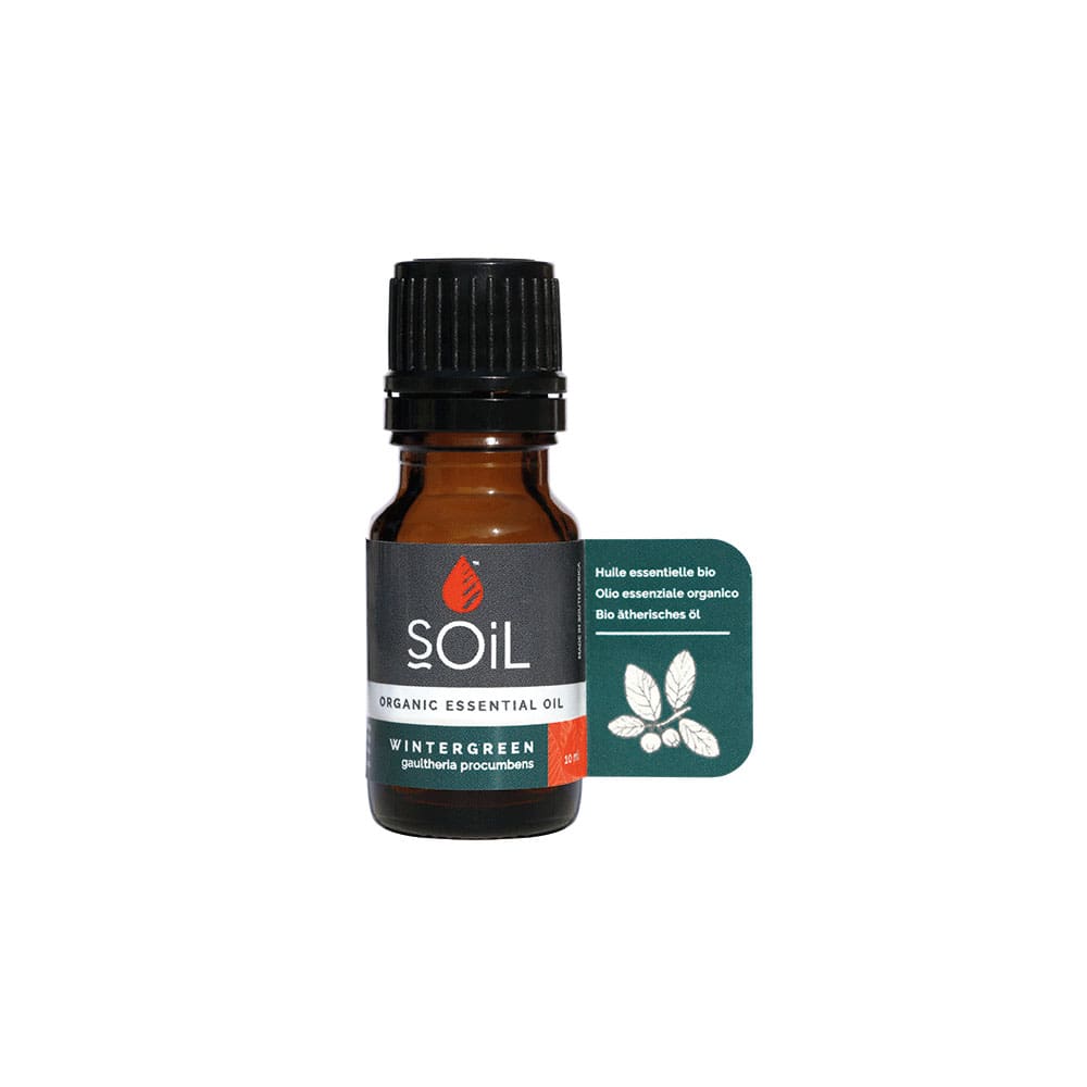 SOiL Organic Aromatherapy – wholesale Essential oil – Wintergreen Organic Essential Oil