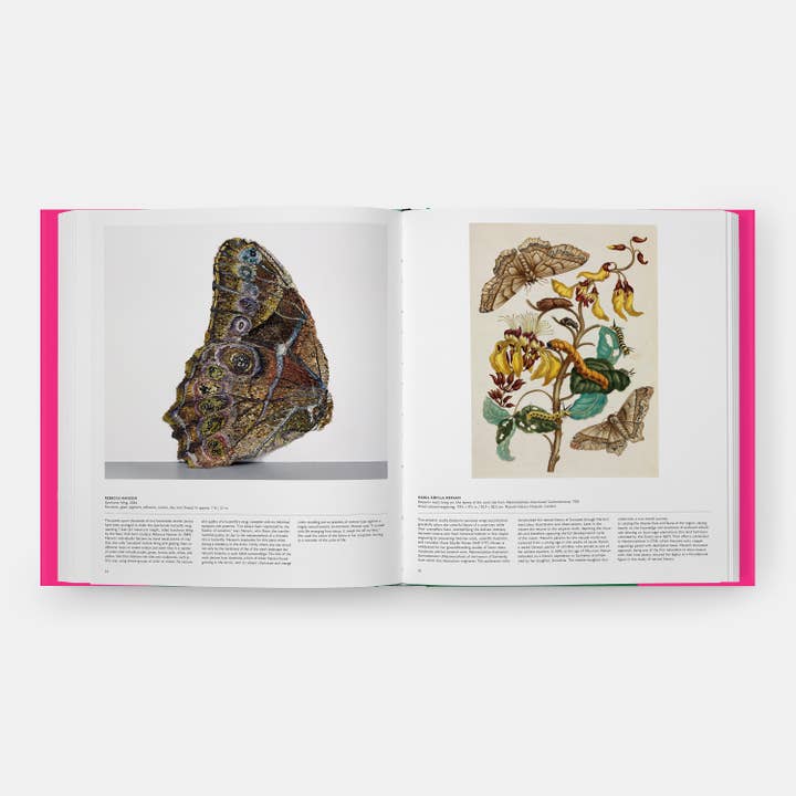 Phaidon - Wholesale Nature & Outdoors - Butterfly: Exploring the World of Lepidoptera7