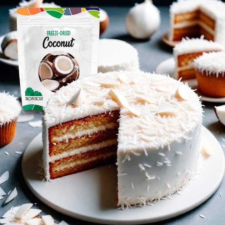 TROPICKOUT LLC – wholesale Dried/dehydrated fruit – TROPICKOUT Freeze-Dried Coconut Chunk 1.7oz7