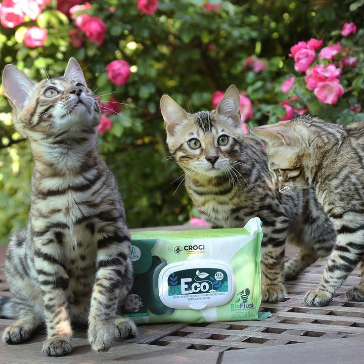 Croci - Vendita all'ingrosso Prodotti per la pulizia degli animali - Salviette cani e gatti umidificate - Eco PetWipes - Croci5