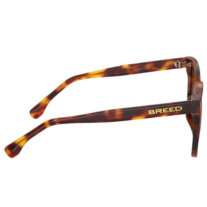 Breed - Venta al por mayor Gafas de sol - Unisex - Gafas de sol Wayfarer polarizadas Breed Linux TR90