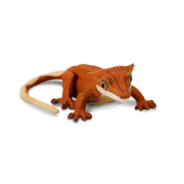 Safari LTD - Canada - Wholesale Figurine Toy - Kids - Crested Gecko - 100344