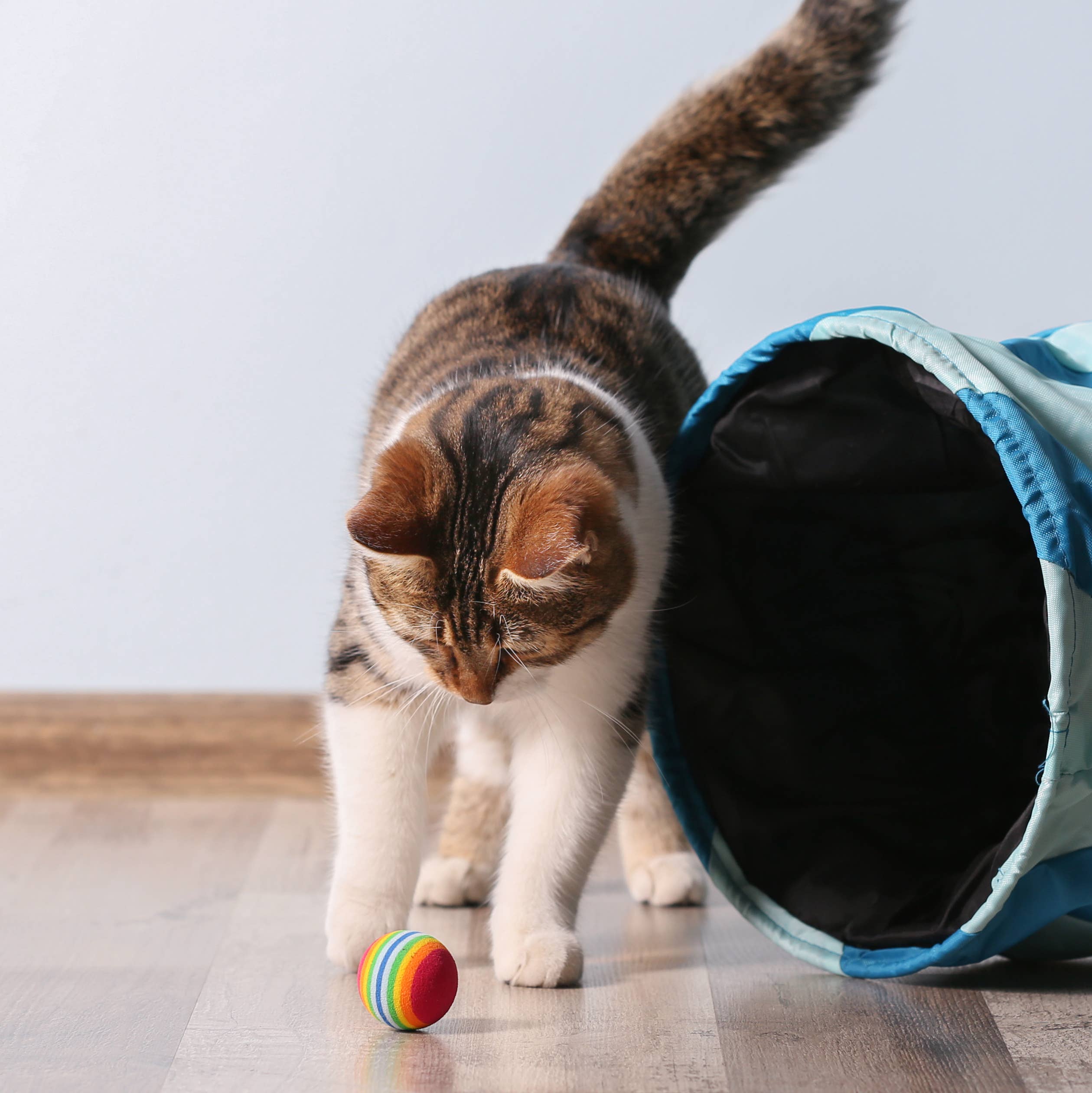 Kater Kasimir - Wholesale Pet Toy - Cat - catnip spray, pure natural in a 30 ml pump atomizer2