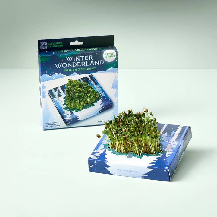 Modern Sprout - Wholesale DIY Craft Kit - Winter Wonderland Microgreens Kit