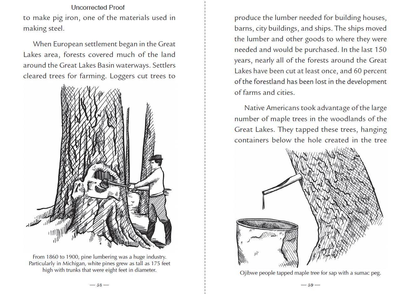 Cardinal Publishers Group - Wholesale Early Reader Book (6-8) - All About the Great Lakes4