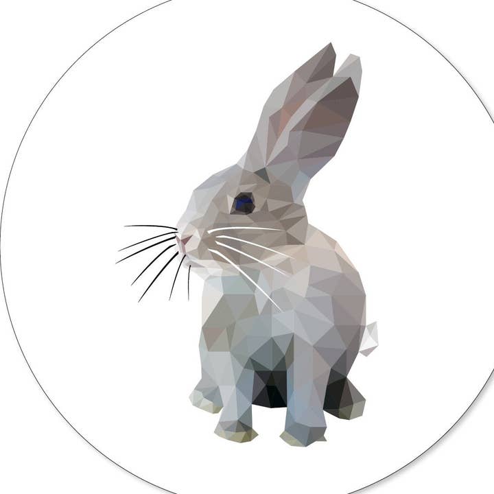 Círculo da Parede do Coelho por atacado de GM decoratie