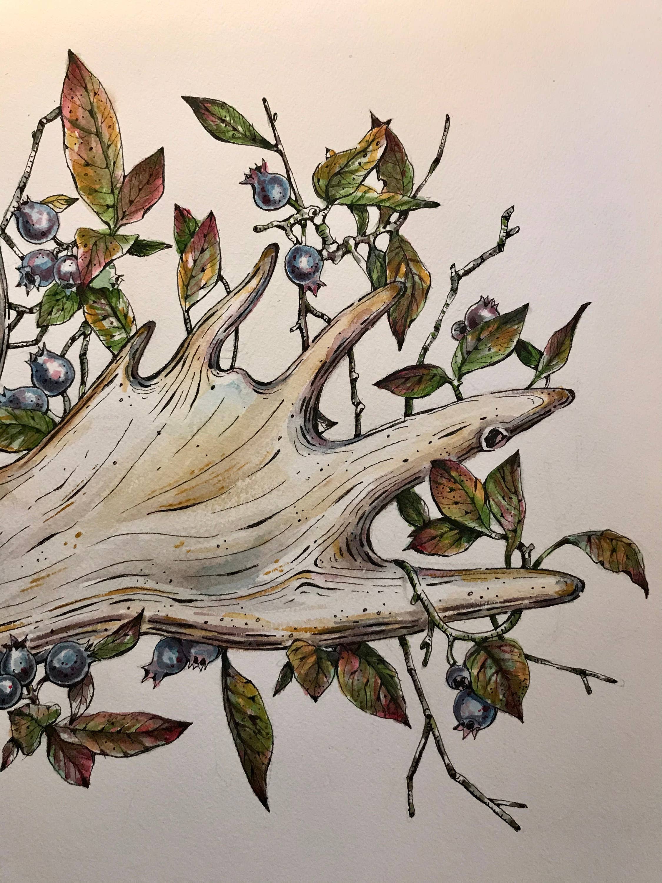 Rosalie Haizlett Illustration - Vendita all'ingrosso Stampa artistica - Stampa artistica ad acquerello con corna d'alce3