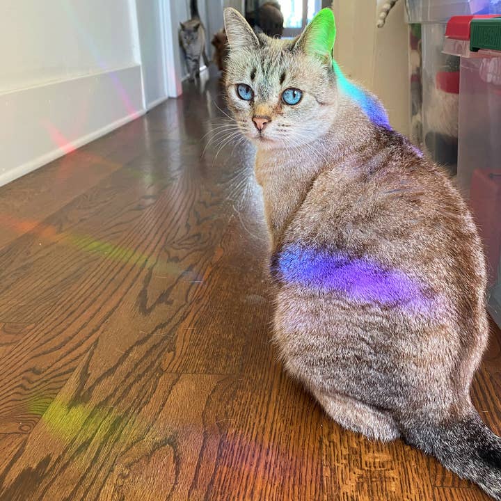 Jess Weymouth – Großhandel Sonnenfänger – Kristall-Fensteraufkleber mit Regenbogenprisma3