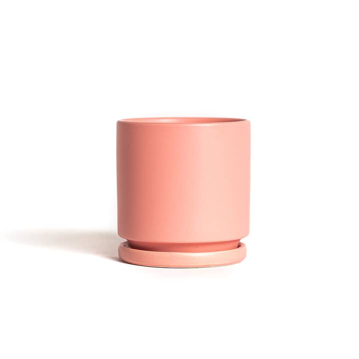 Momma Pots - Wholesale Plant Pot - 4.5" Gemstone Cylinder Pots with Water Saucers