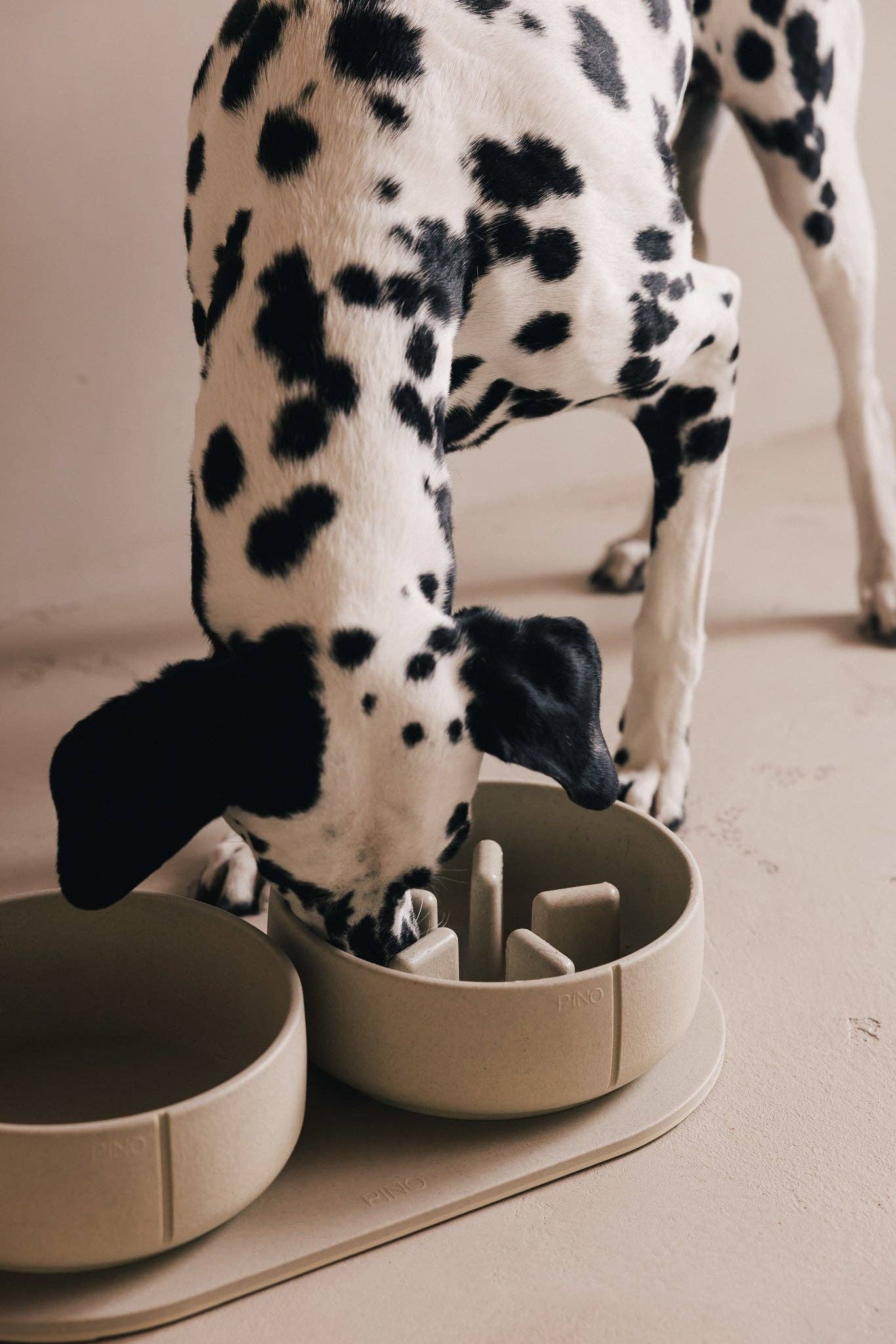 PINO - Wholesale Pet Bowl - Dog - Slow Feeder Bowl8